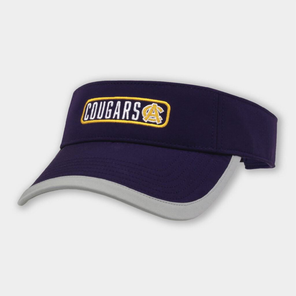 Custom Visors