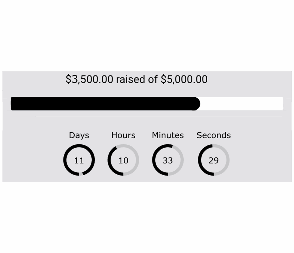 Fundraising for Custom Online Stores